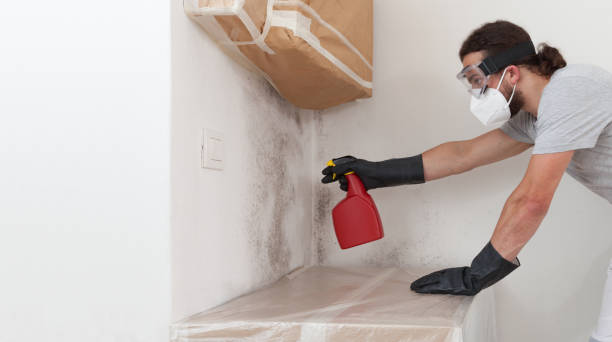 Professional Mold Removal technician working in Harrison, NY